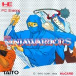 The Ninja Warriors